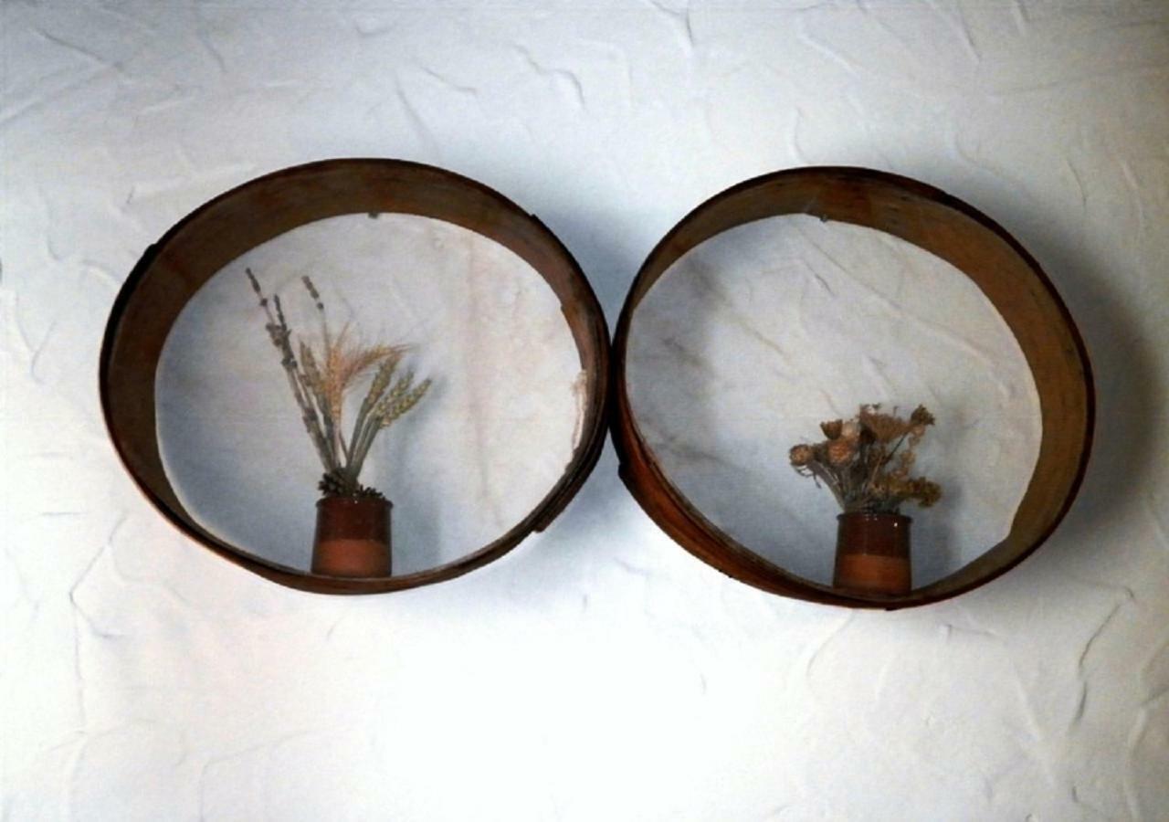 Casa Rural Calle Real Bed & Breakfast Torremocha de Ayllón Екстериор снимка